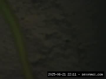 Pegging Community, New, Live.